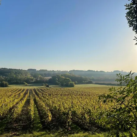 Pigeon House In A Vineyard Les Leves-et-Thoumeyragues