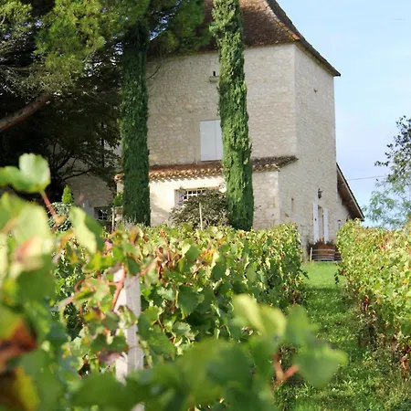 Pigeon House In A Vineyard Holiday home Les Leves-et-Thoumeyragues